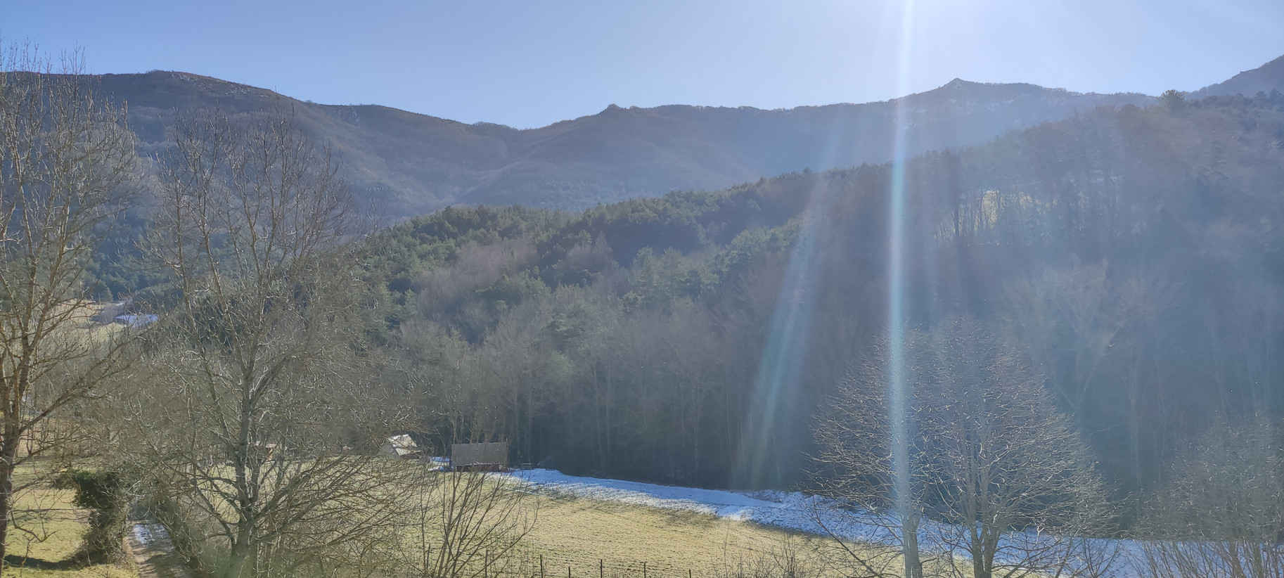 Paysage montagneux ensoleillé avec des arbres nus, un champ et une forêt