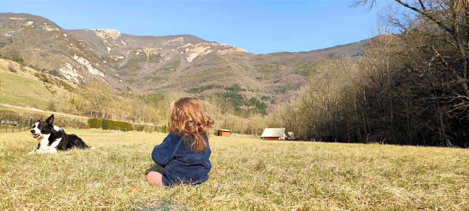 Un enfant et un chien sont assis dans prairie, regardant les montagnes au loin