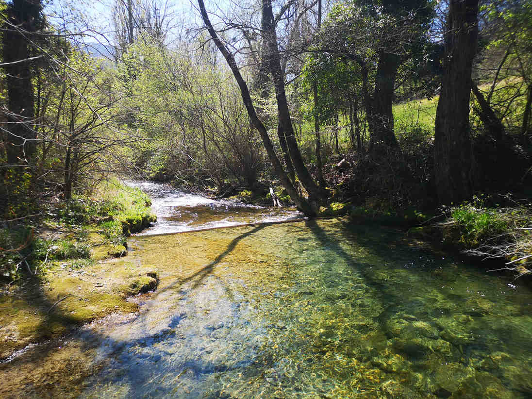 Un ruisseau sinueux avec de l'eau claire serpente à travers une forêt verdoyante sous un ciel ensoleillé