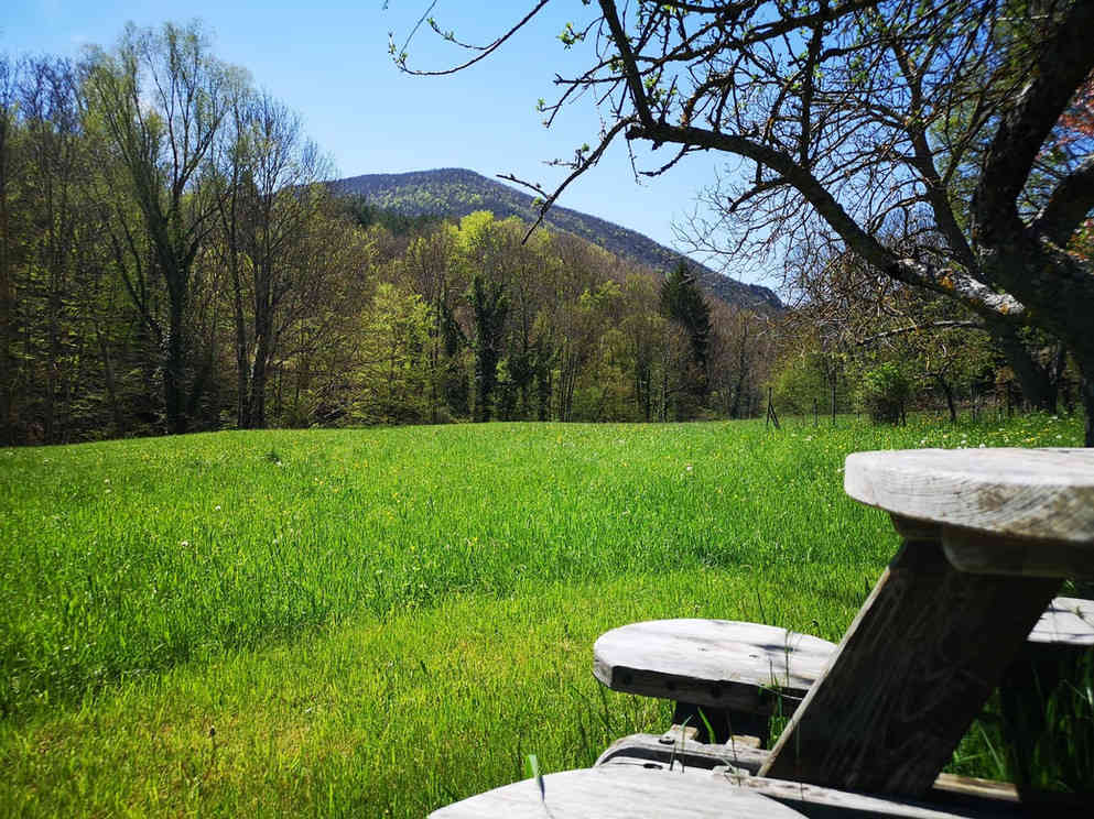 Paysage naturel paisible avec un champ verdoyant parsemé de petites fleurs blanches, des arbres aux feuilles naissantes, une table de pique-nique en bois rustique, et des montagnes majestueuses à l'arrière-plan sous un ciel bleu clair