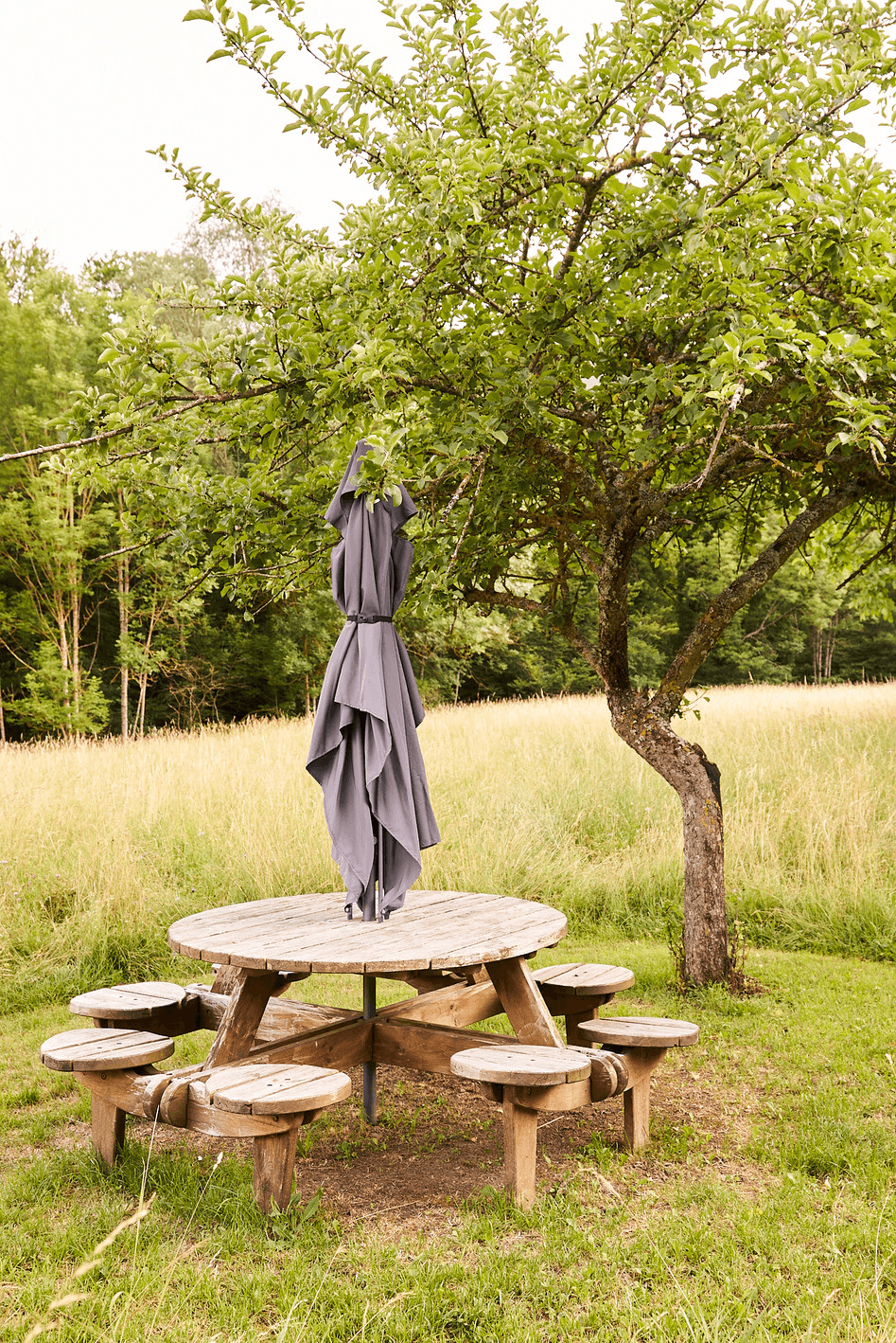 Un parasol gris suspendu à un arbre au-dessus d'une table ronde en bois avec des bancs, située dans un champ herbeux avec des arbres en arrière-plan.