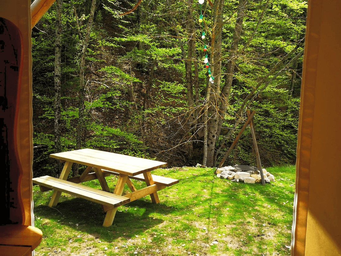Une table de pique-nique en bois avec des bancs est placée sur une pelouse verte, entourée par une forêt dense; une guirlande de lumières colorées est suspendue à proximité et un feu de camp éteint est visible.